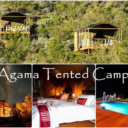 Agama Tented Camp Garies Kültér fotó