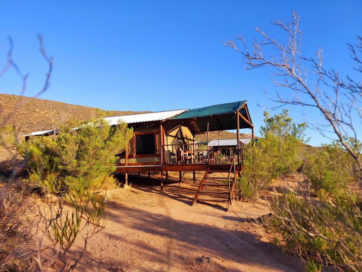 Agama Tented Camp Garies Kültér fotó