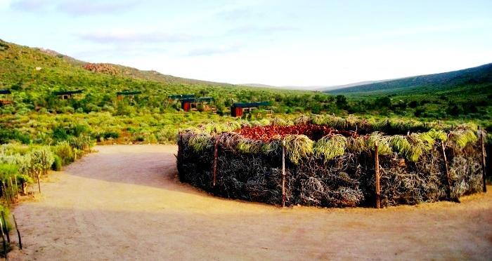 Agama Tented Camp Garies Kültér fotó