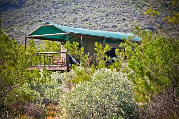 Agama Tented Camp Garies Kültér fotó