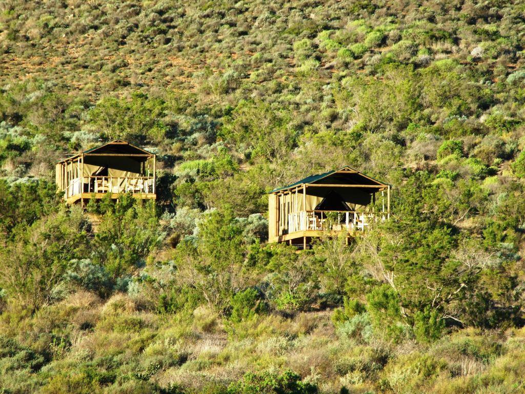 Agama Tented Camp Garies Kültér fotó