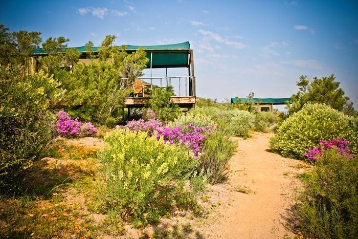 Agama Tented Camp Garies Kültér fotó
