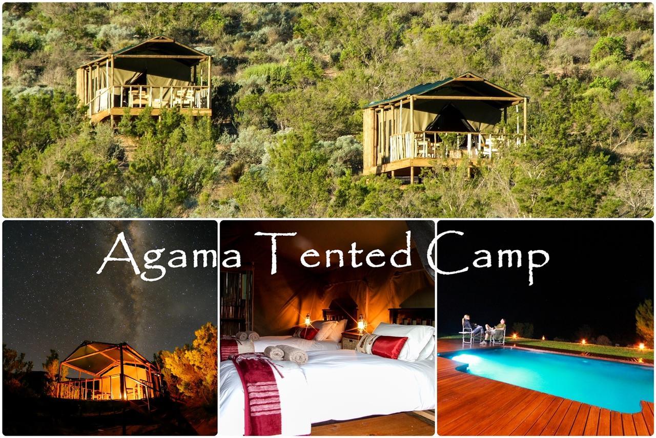Agama Tented Camp Garies Kültér fotó